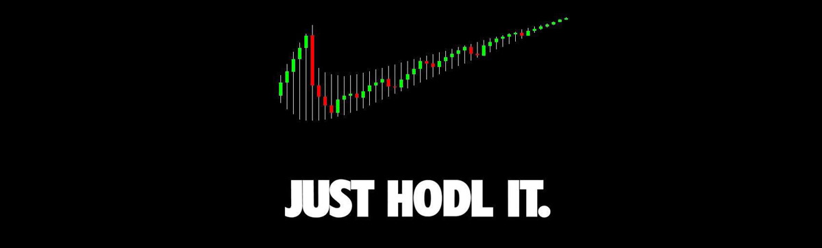 JUST HODL IT